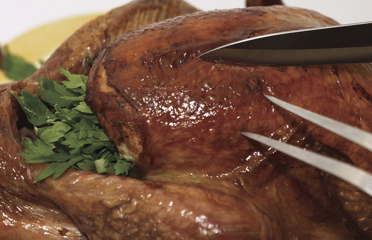 4. The breast meat